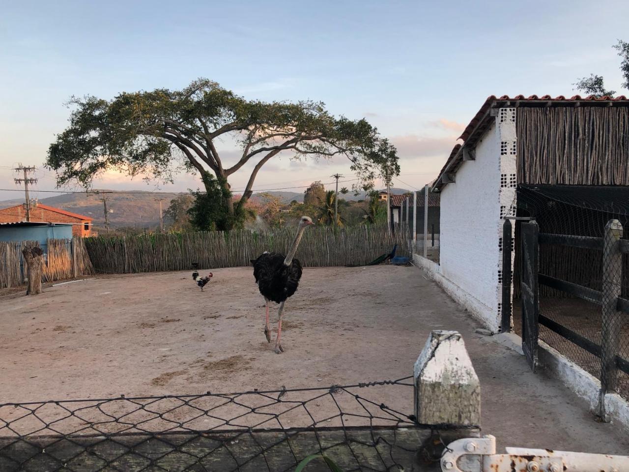 Flat 301 Condominio Villa Hipica - Gravata, Pe Bagian luar foto
