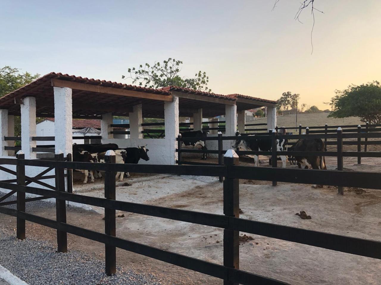 Flat 301 Condominio Villa Hipica - Gravata, Pe Bagian luar foto