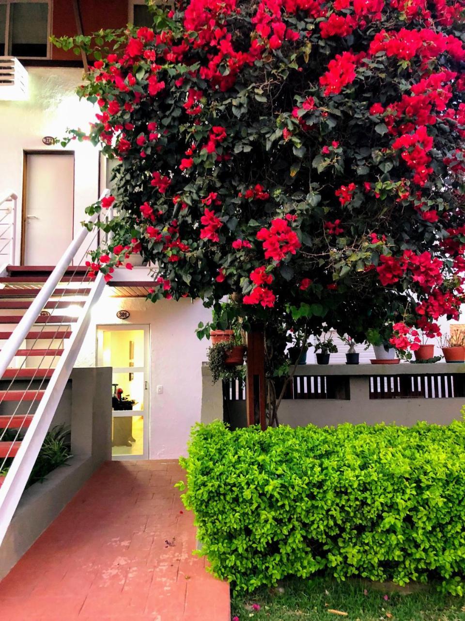Flat 301 Condominio Villa Hipica - Gravata, Pe Bagian luar foto